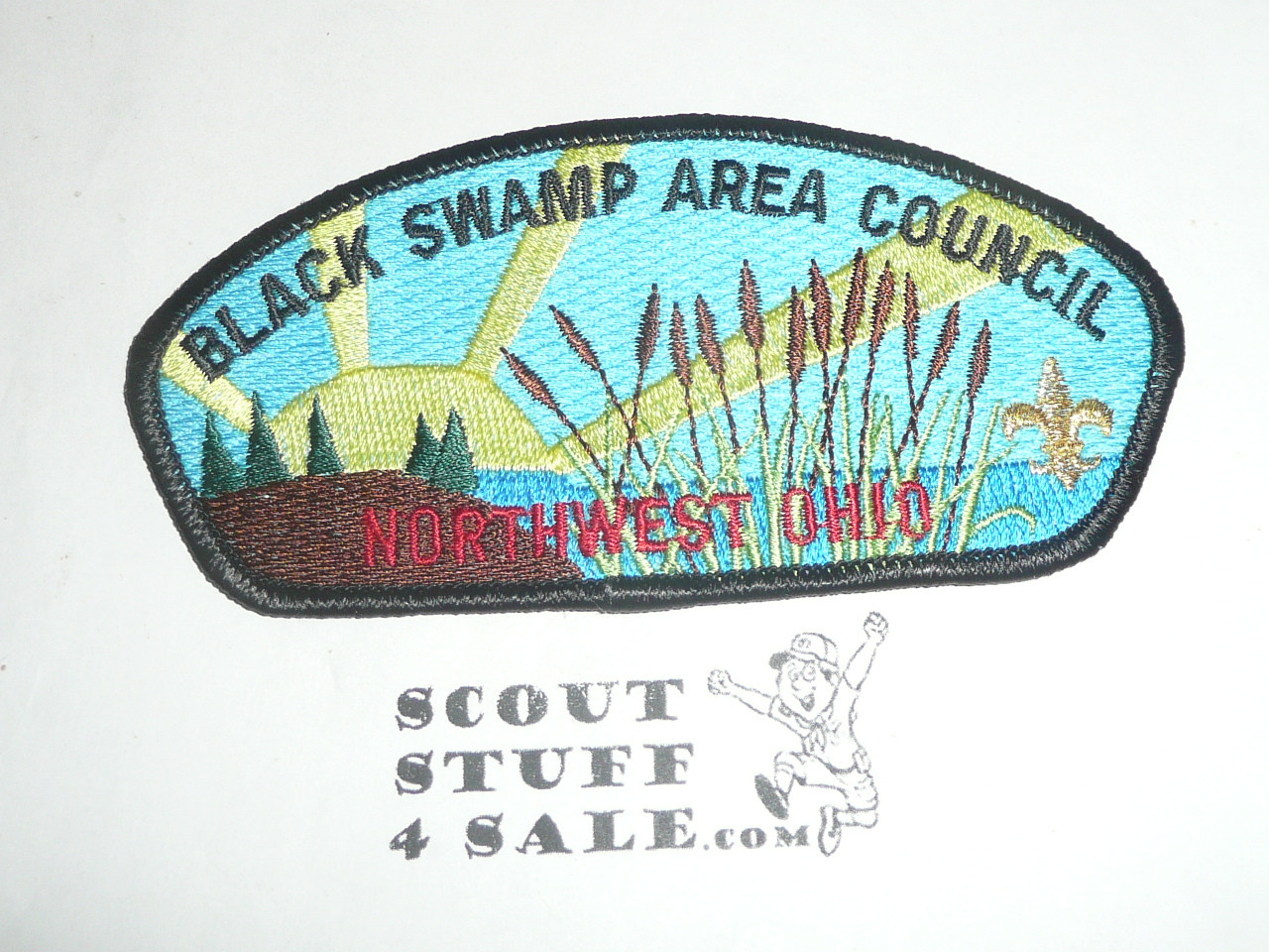 Black Swamp Council s6 CSP