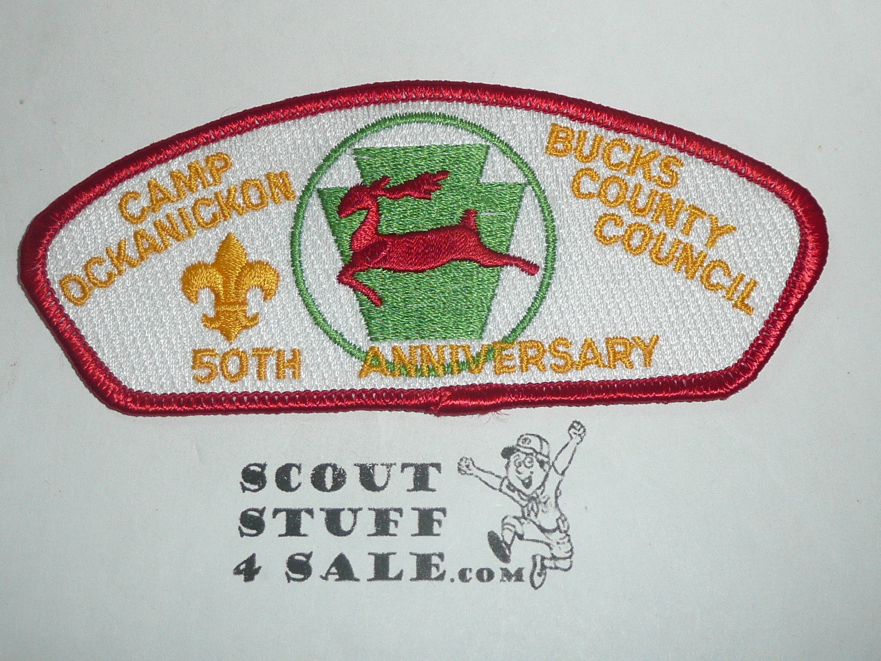 Bucks County Council sa31 CSP - Scout