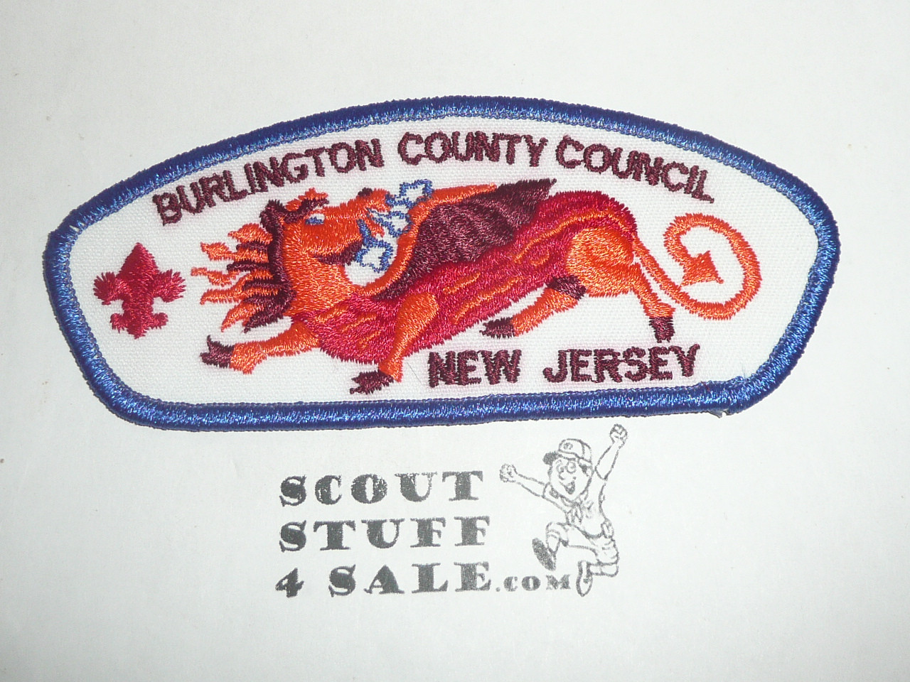 Burlington County Council t12 CSP - Scout