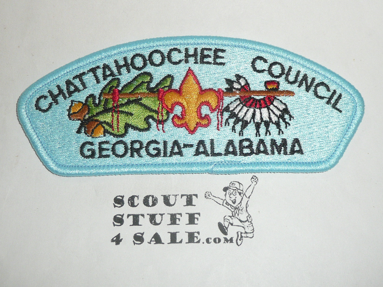 Chattahoochee Council sa10 CSP - Scout