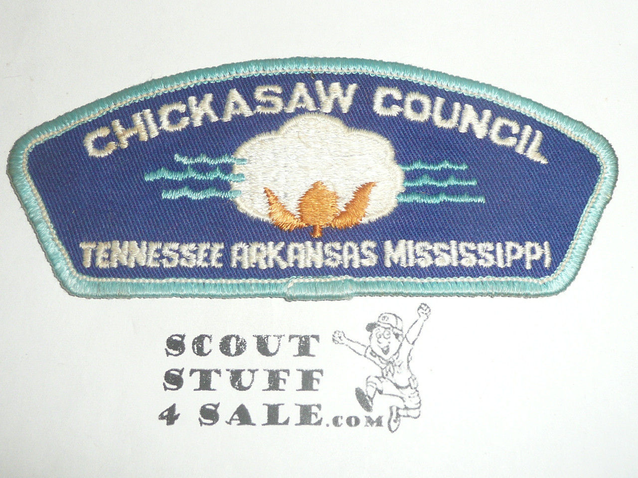 Chickasaw Council t1b CSP - Scout