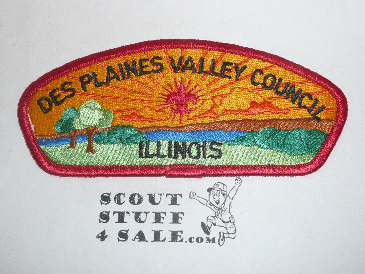 Des Plaines Valley Council s1a CSP - Scout