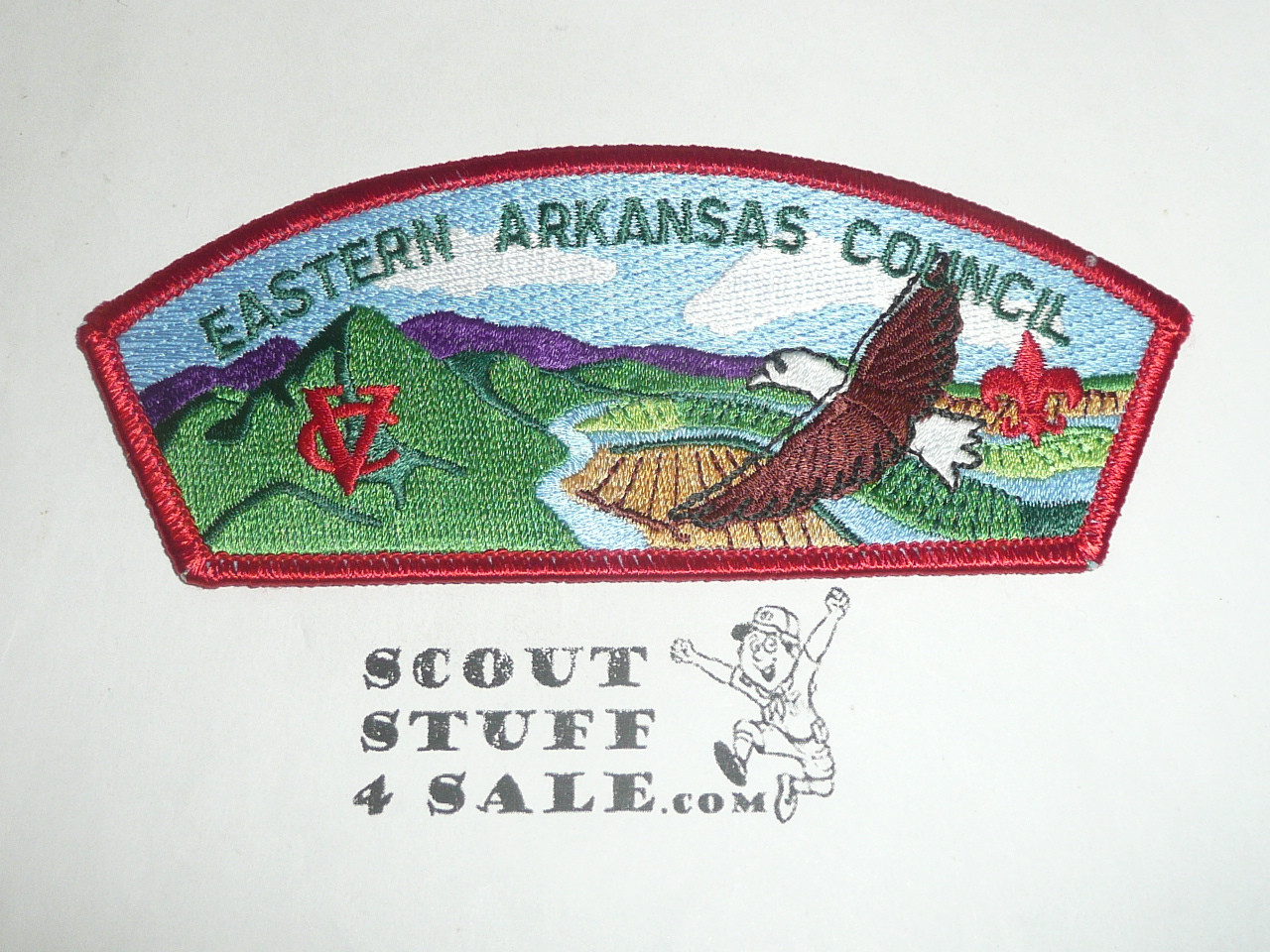 Eastern Arkansas Area Council s9 CSP - Scout