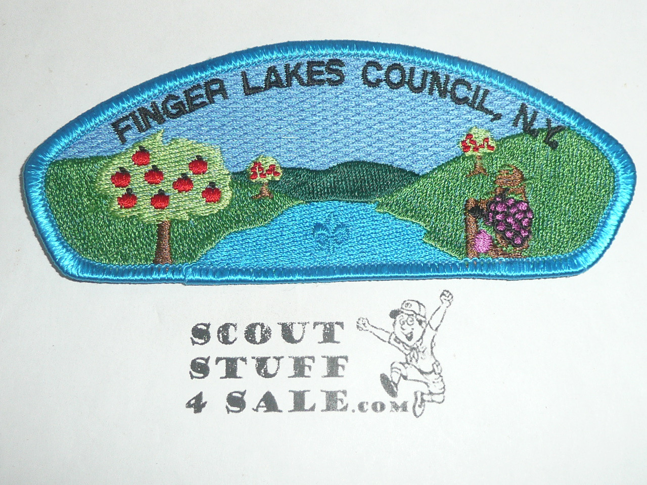 Finger Lakes Council s2 CSP - Scout