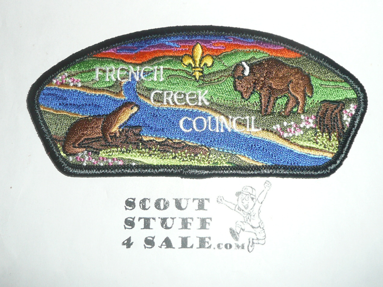 French Creek Council s21 CSP - Scout