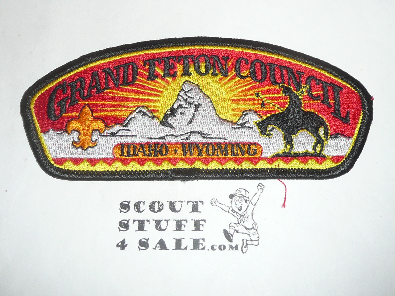 Grand Teton Council s10 CSP - Scout