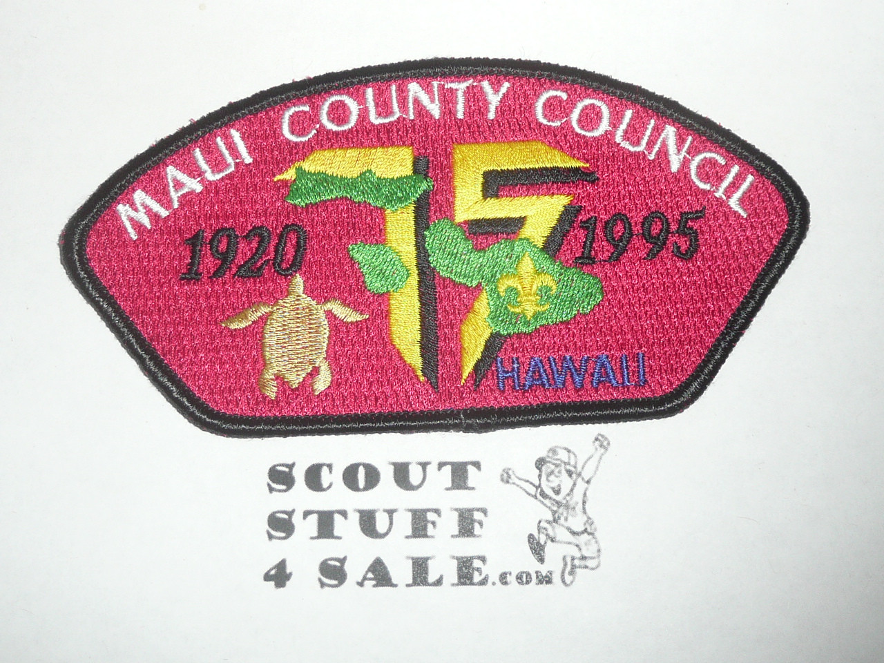 Maui County Council s3 CSP - Scout