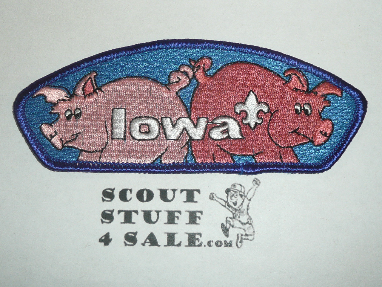 Mid-Iowa Council sa10 CSP - Scout