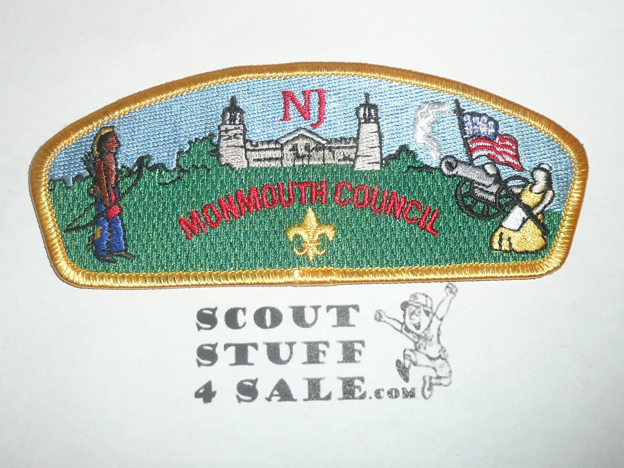 Monmouth Council s10 CSP - Scout