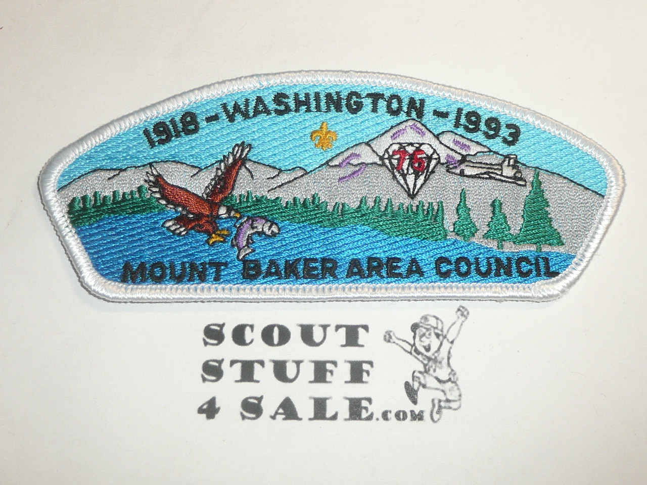 Mount Baker Area Council sa24 CSP - Scout