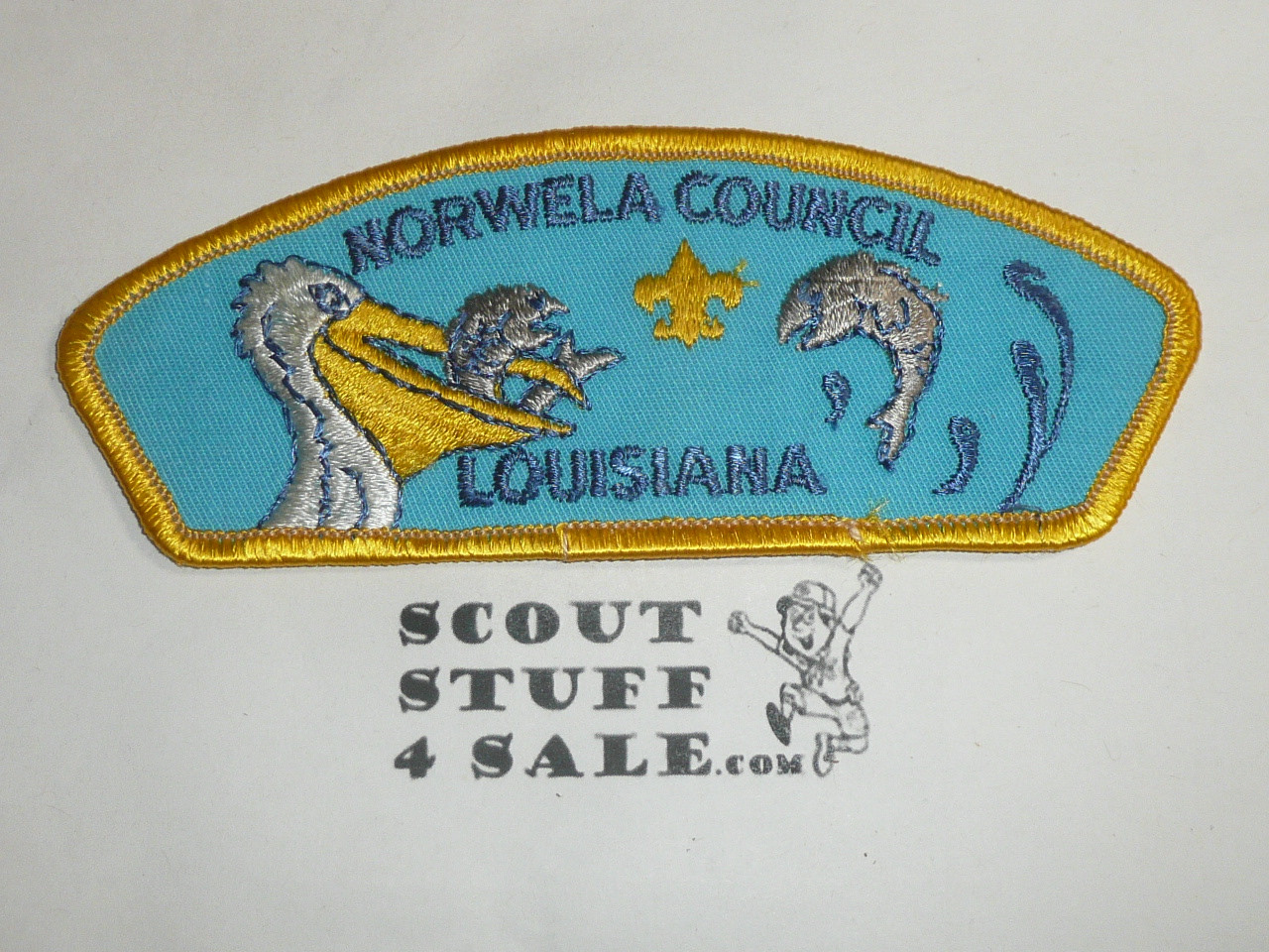Norwela Council t2 CSP - Scout