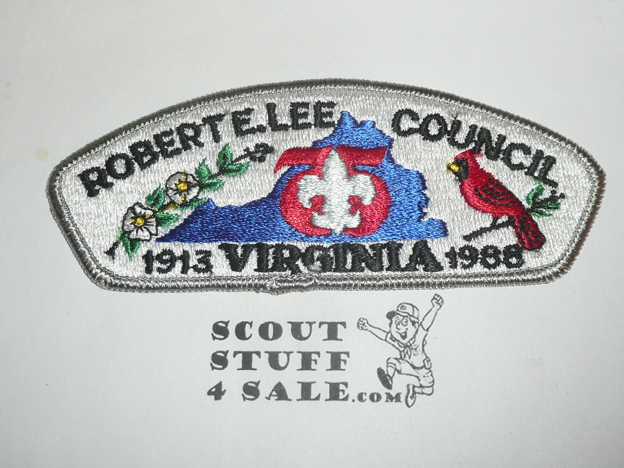 Robert E Lee Council s3a CSP - Scout  MERGED