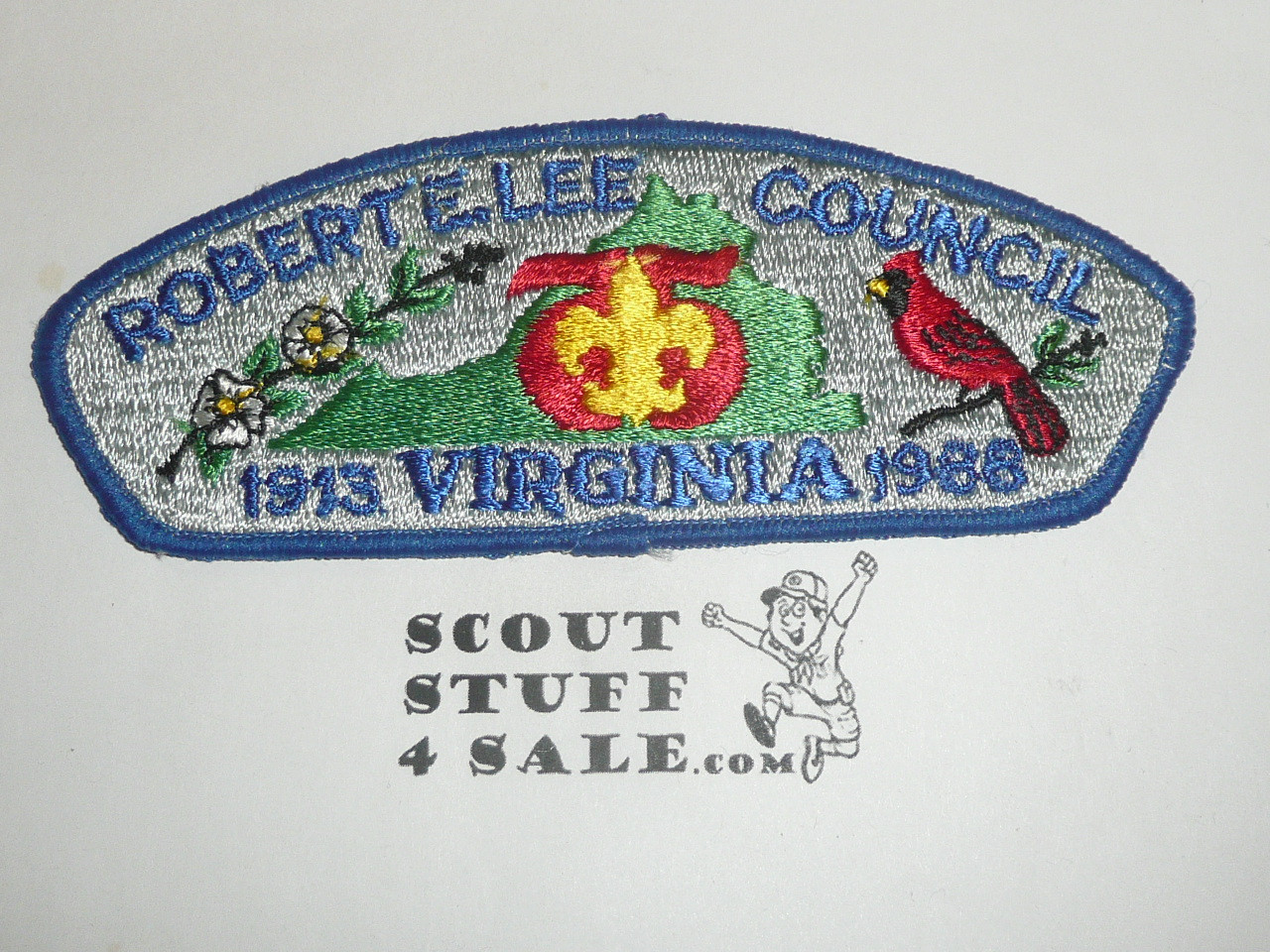 Robert E Lee Council sa4 CSP - Scout  MERGED