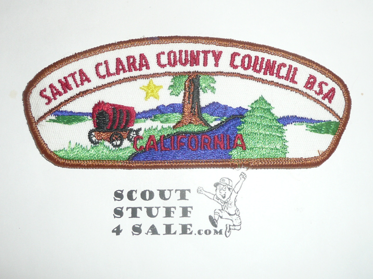 Santa Clara County Council t3b CSP - Scout