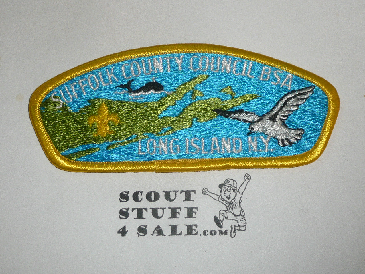Suffolk County Council s1c CSP - Scout