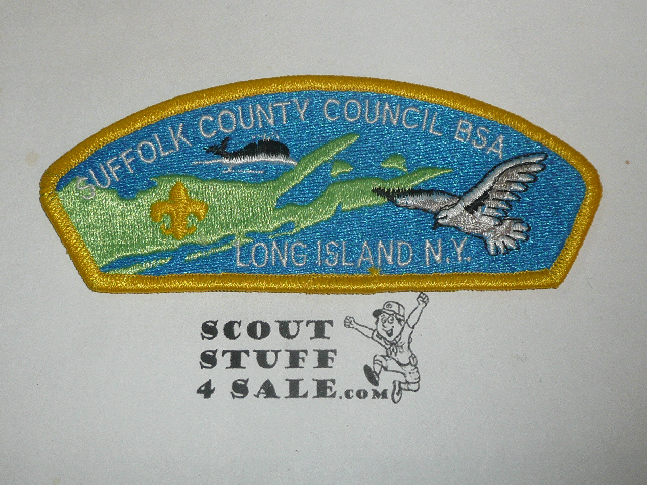 Suffolk County Council s1d CSP - Scout