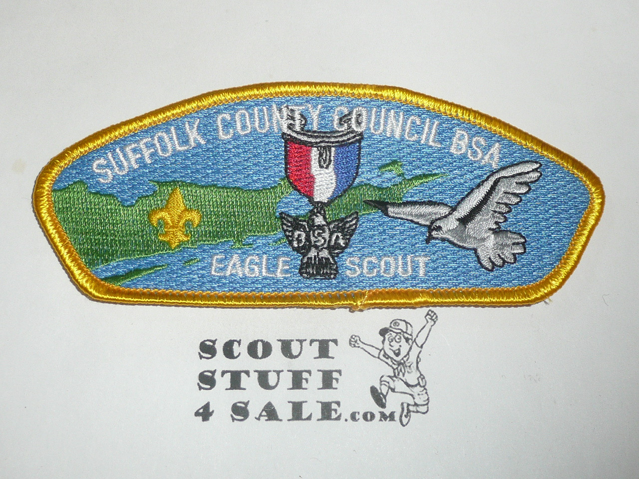 Suffolk County Council sa15a CSP - Eagle Scout