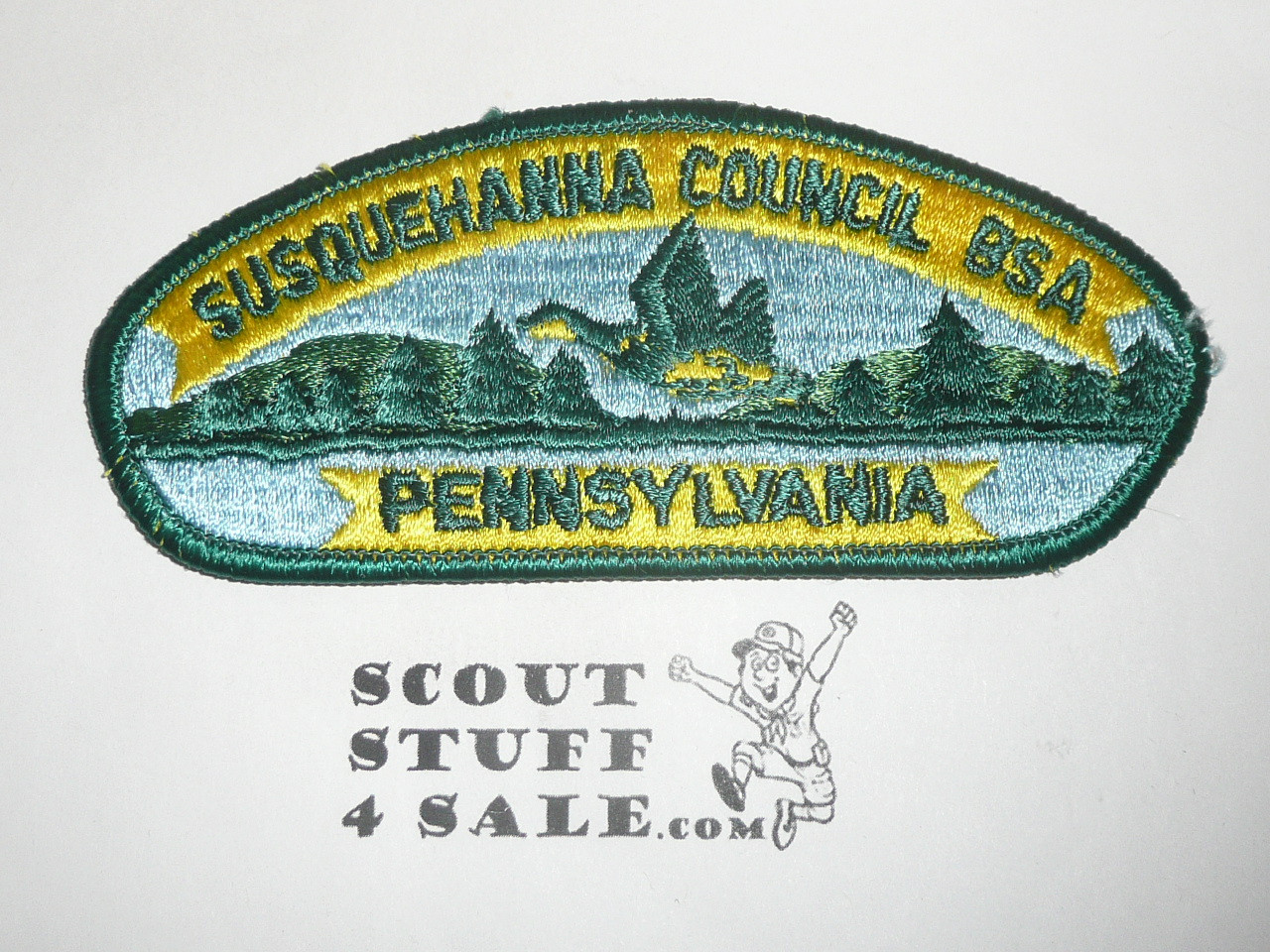 Susquehanna Council s3b CSP - Scout