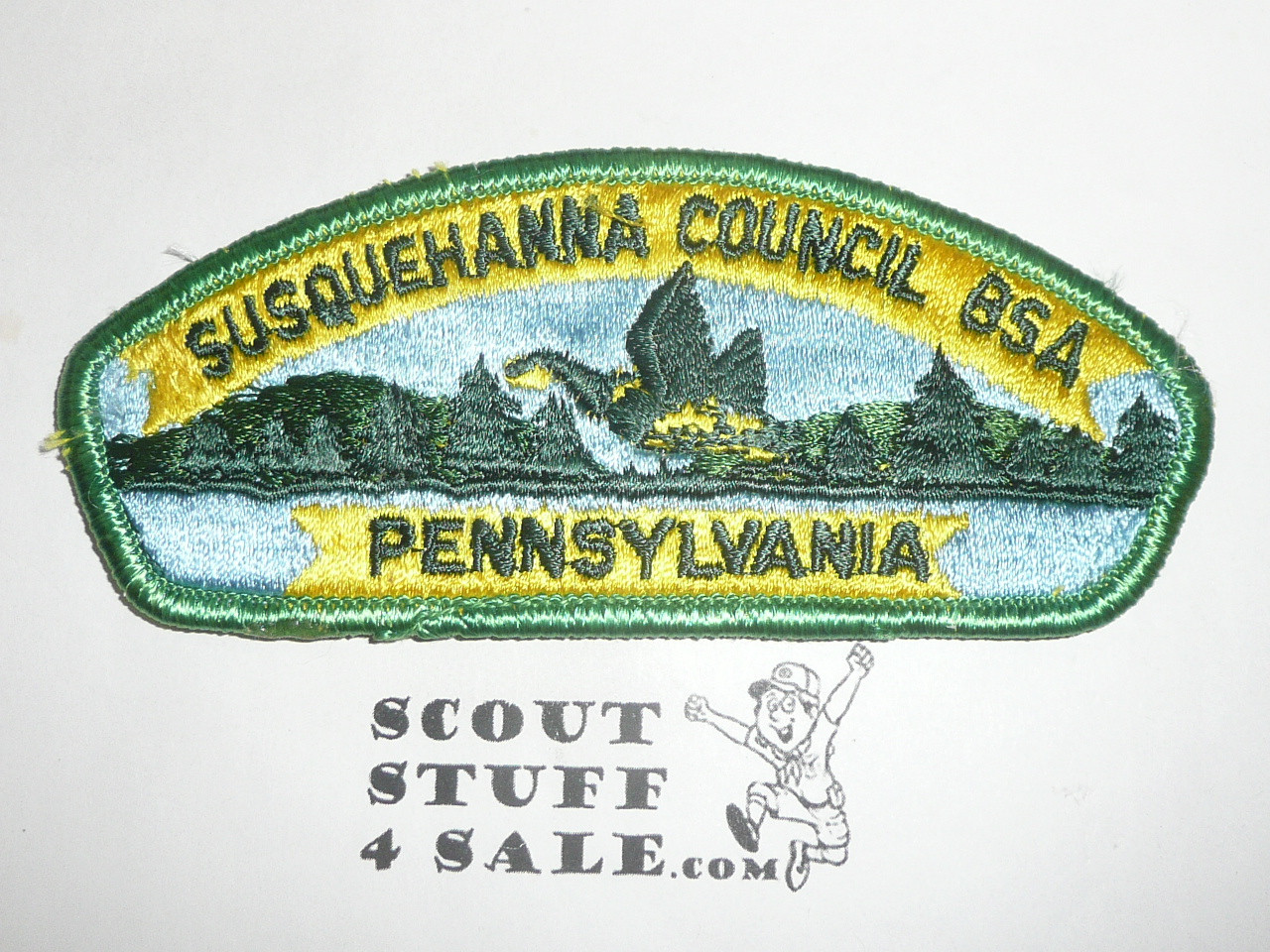 Susquehanna Council s4b CSP - Scout