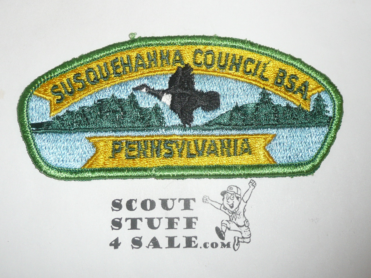 Susquehanna Council s6 CSP - Scout