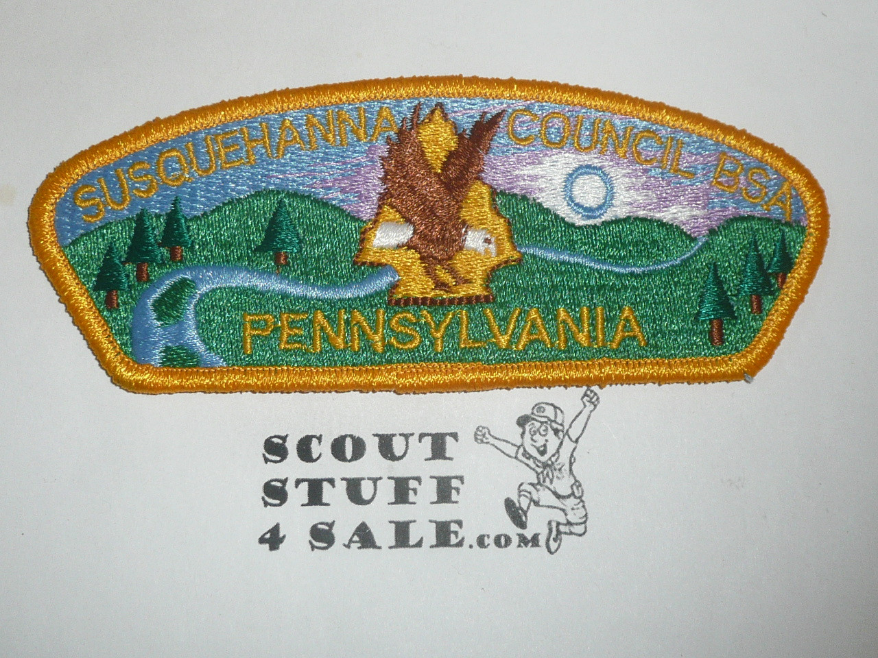 Susquehanna Council s12 CSP - Scout