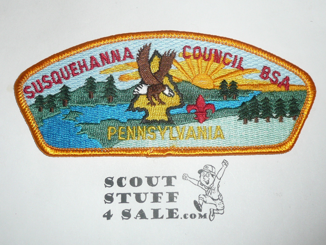 Susquehanna Council s15 CSP - Scout