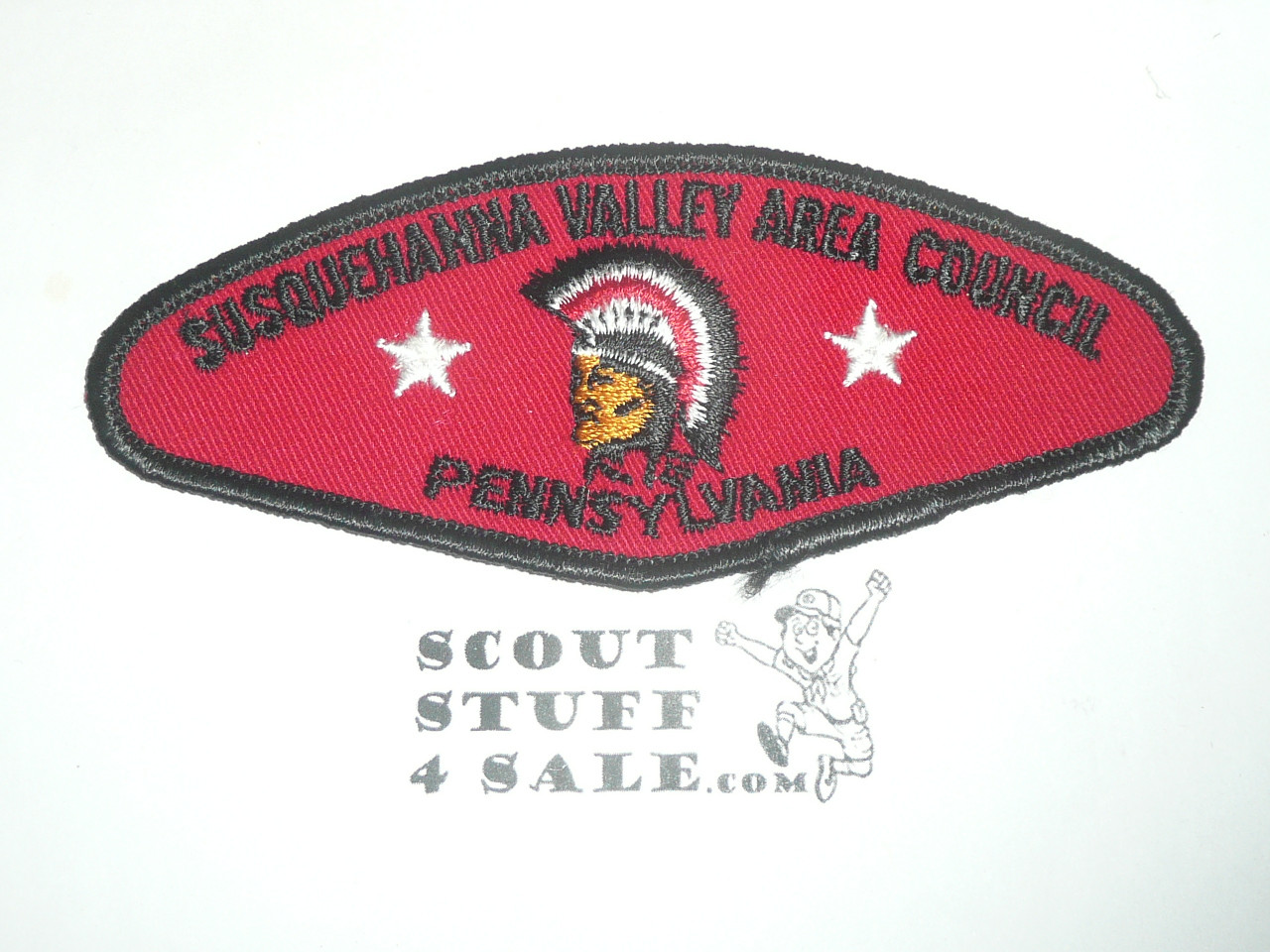 Susquehanna Valley Area Council t1 CSP - Scout  MERGED