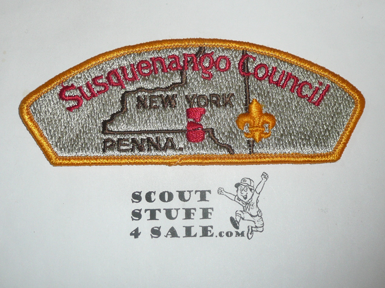 Susquenango Council s1b CSP - Scout - MERGED
