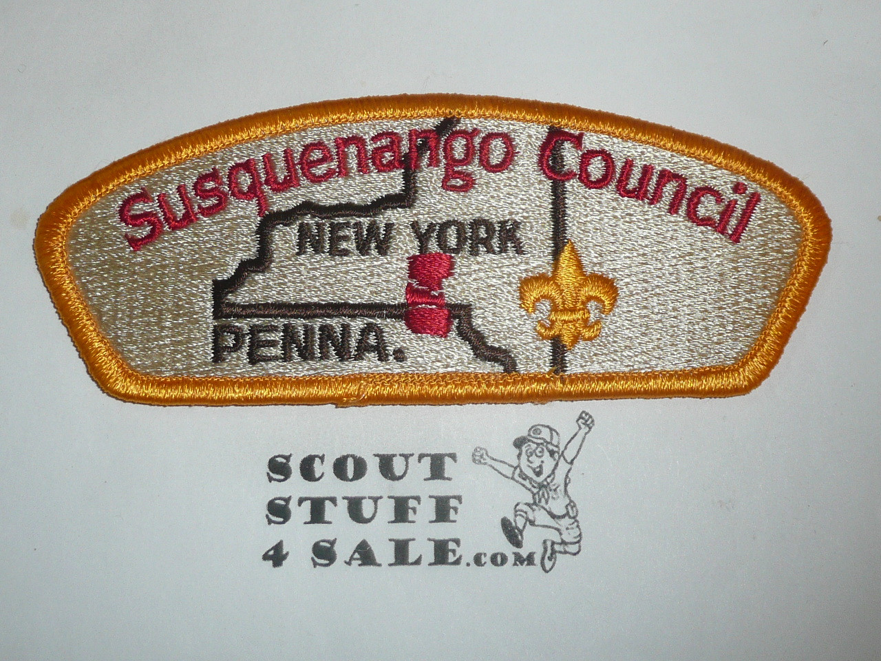 Susquenango Council s1c CSP - Scout - MERGED