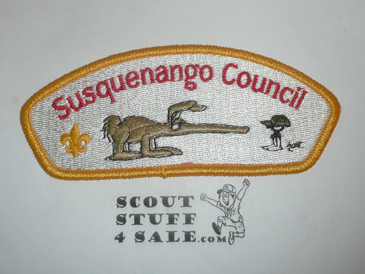Susquenango Council sa3 CSP - Scout - MERGED