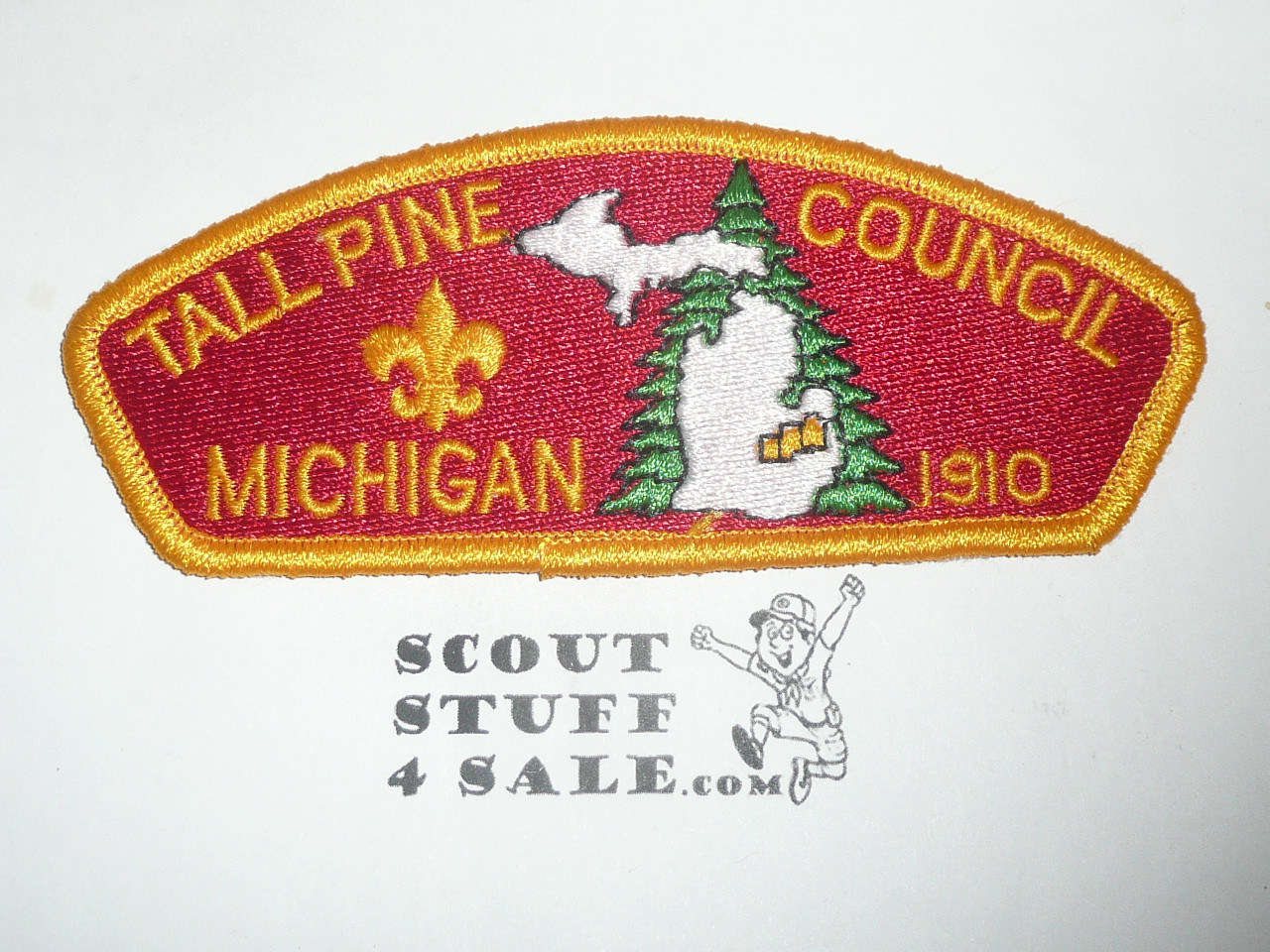 Tall Pine Council s2c CSP - Scout