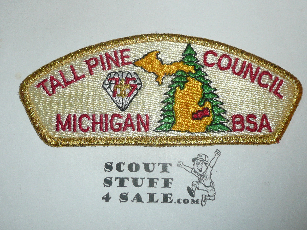 Tall Pine Council s3 CSP - BSA 75th Anniversary