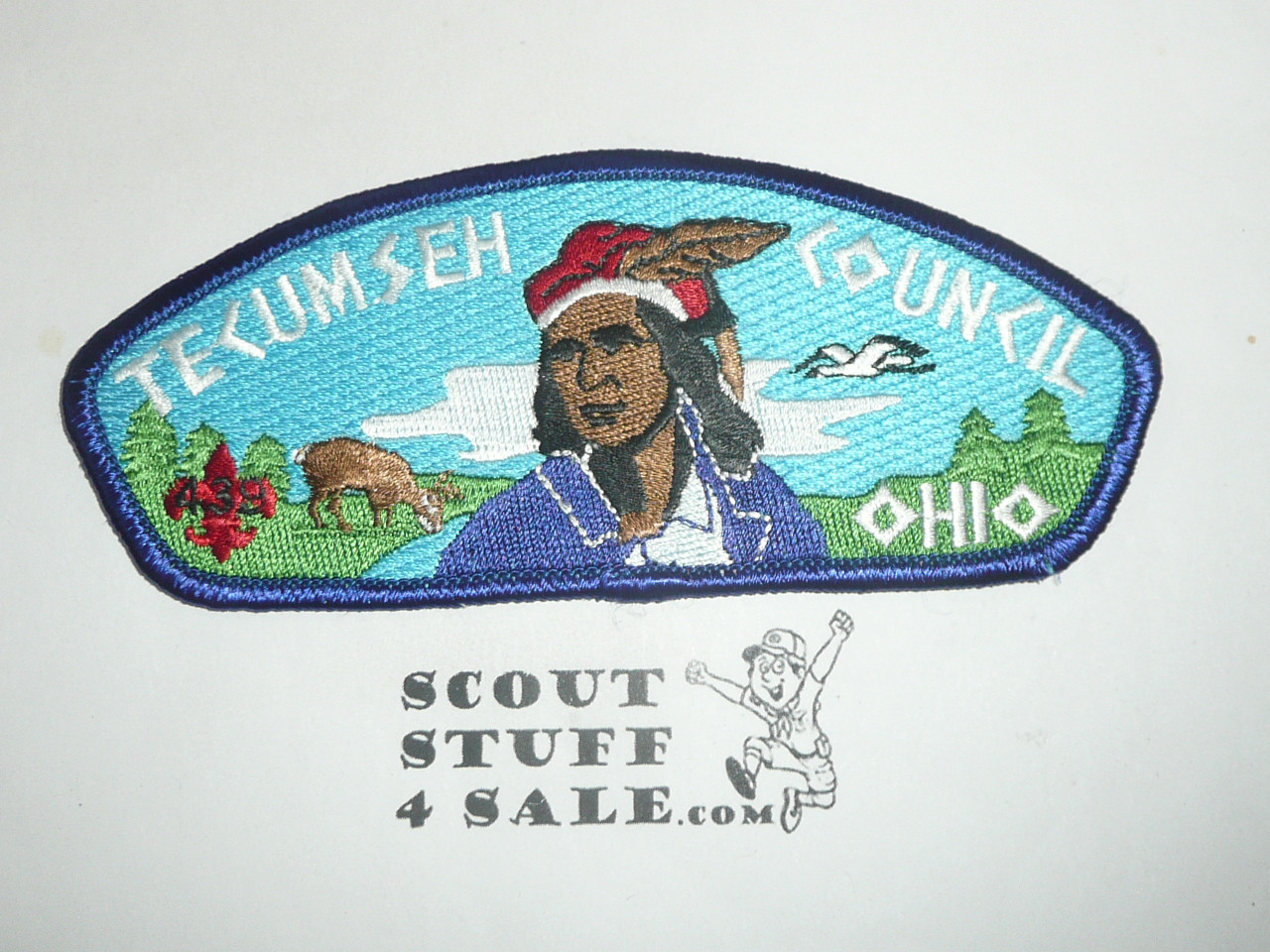 Tecumseh Council s5a CSP - Scout
