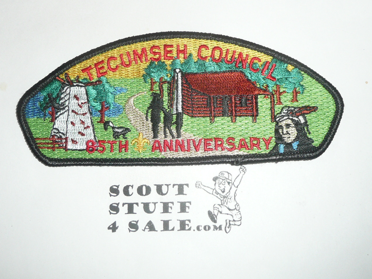 Tecumseh Council s10 CSP - Scout