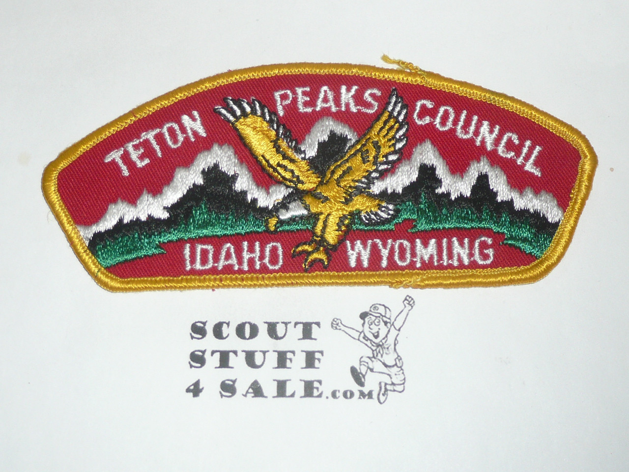 Teton Peaks Council t1 CSP - Scout  MERGED