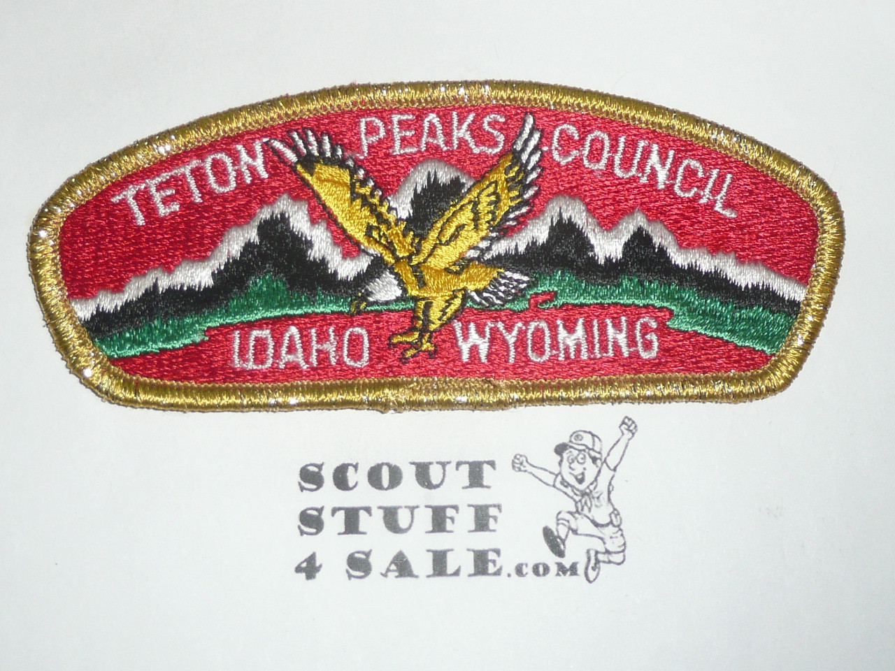 Teton Peaks Council UNLISTED CSP, sa4 but no fdl's but does not appear to be a needle break - Scout