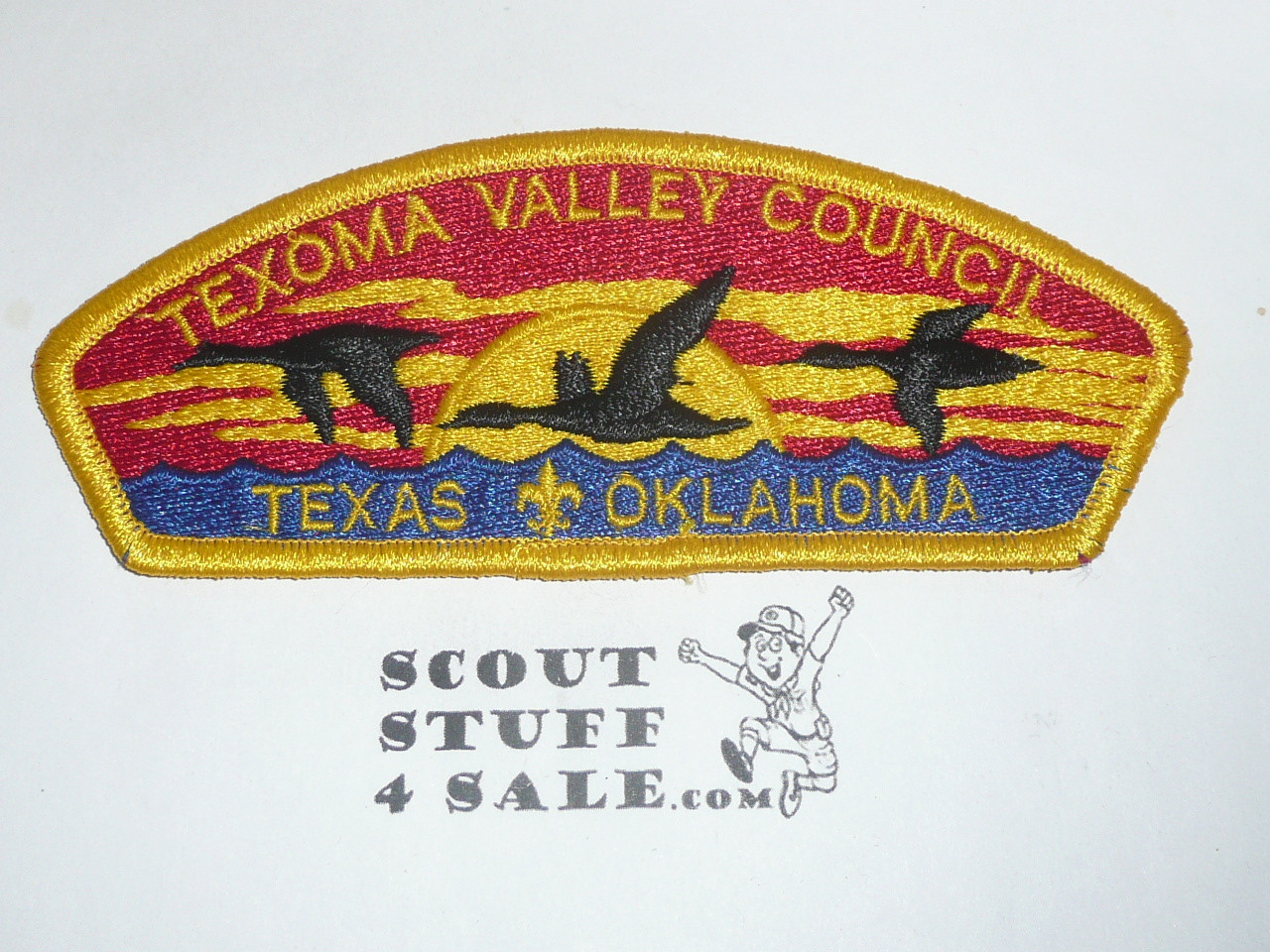 Texoma Valley Council s3 CSP - Scout  MERGED