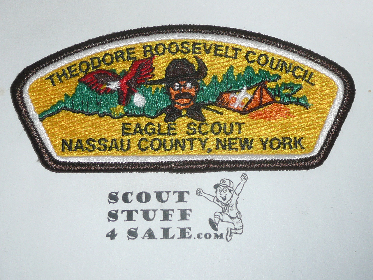 Theodore Roosevelt Council NY sa4 CSP - Eagle Scout