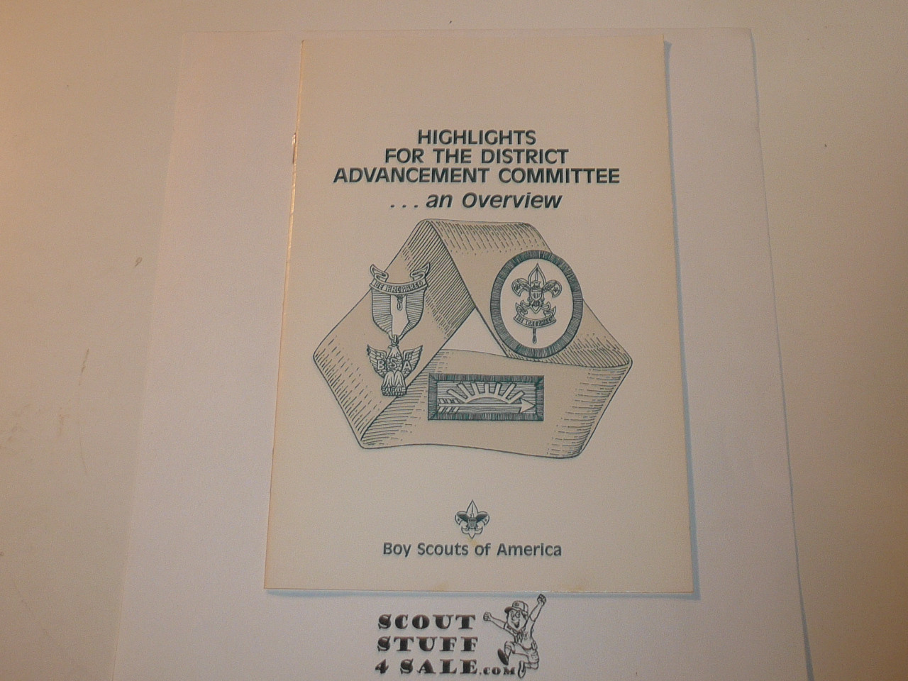 1989 Highlights for the District Advancement Committee...an Overview
