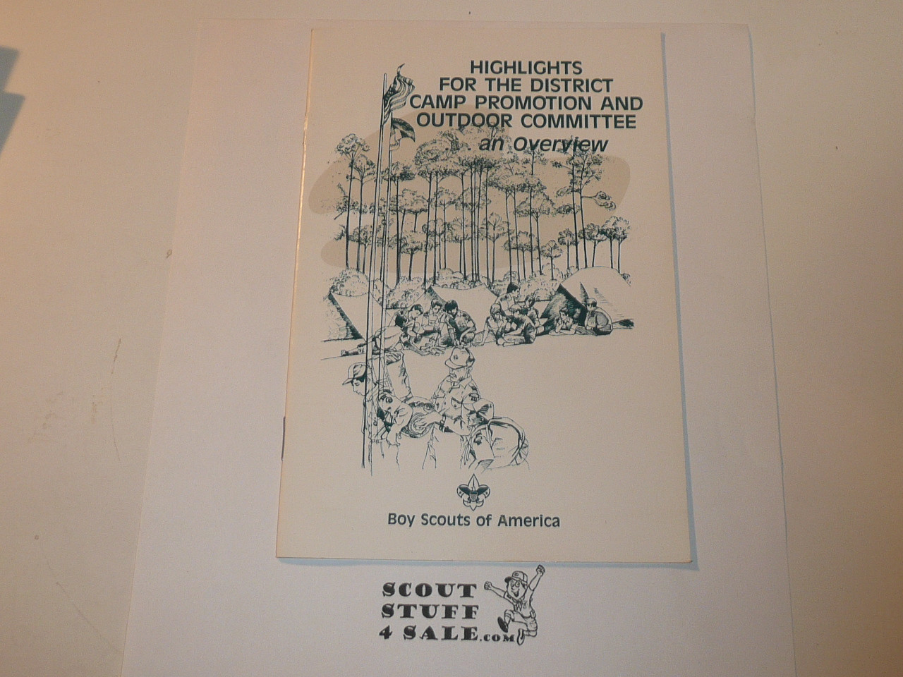 1989 Highlights for the District Camp Promotion and Outdoor Committee...an Overview