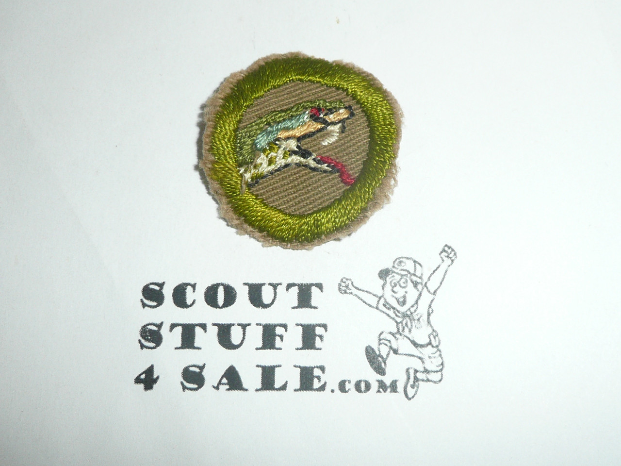 Reptile Study - Type A - Square Tan Merit Badge (1911-1933), cut to round