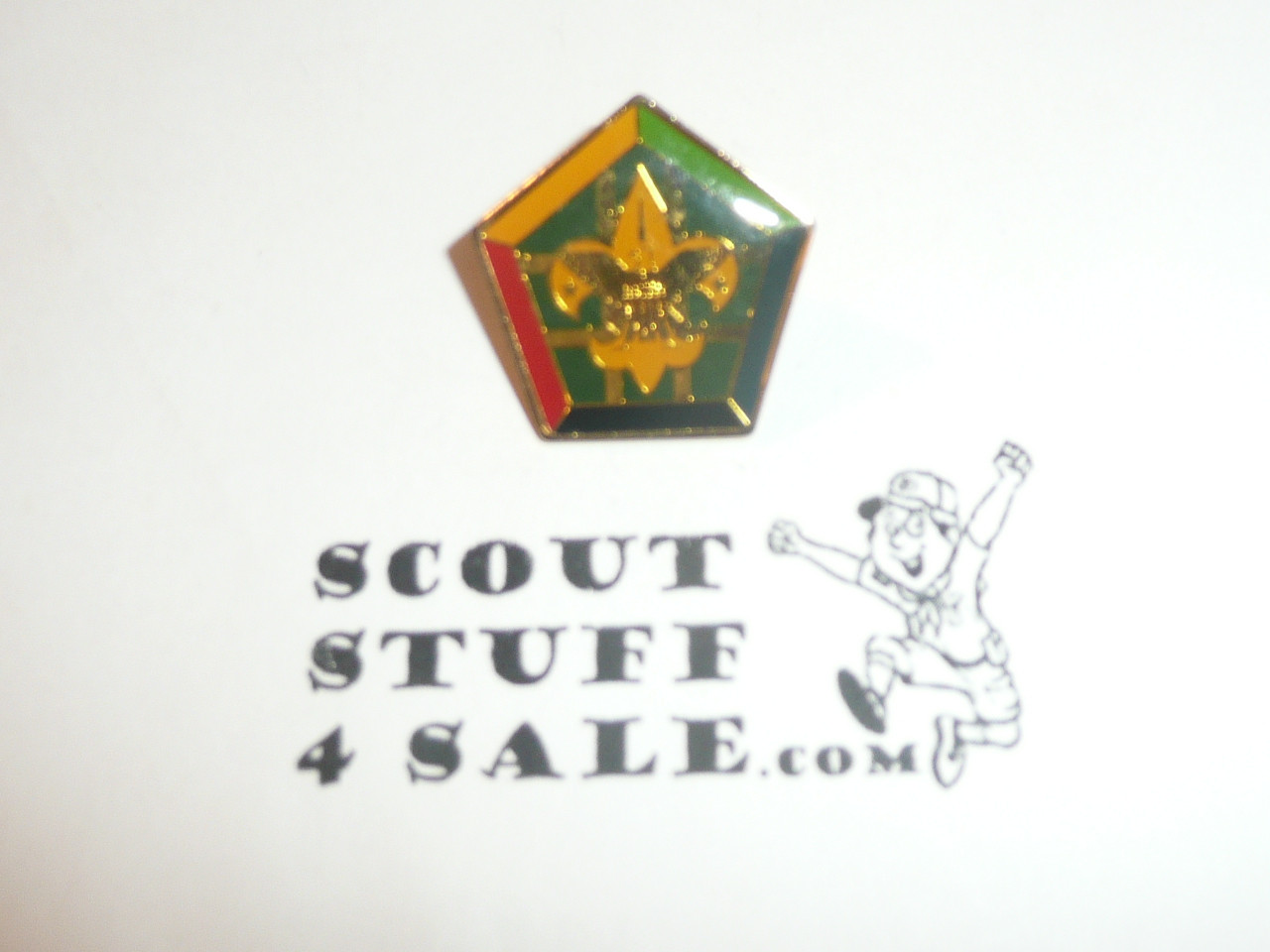 Wood Badge 21st Century Pin - Scout