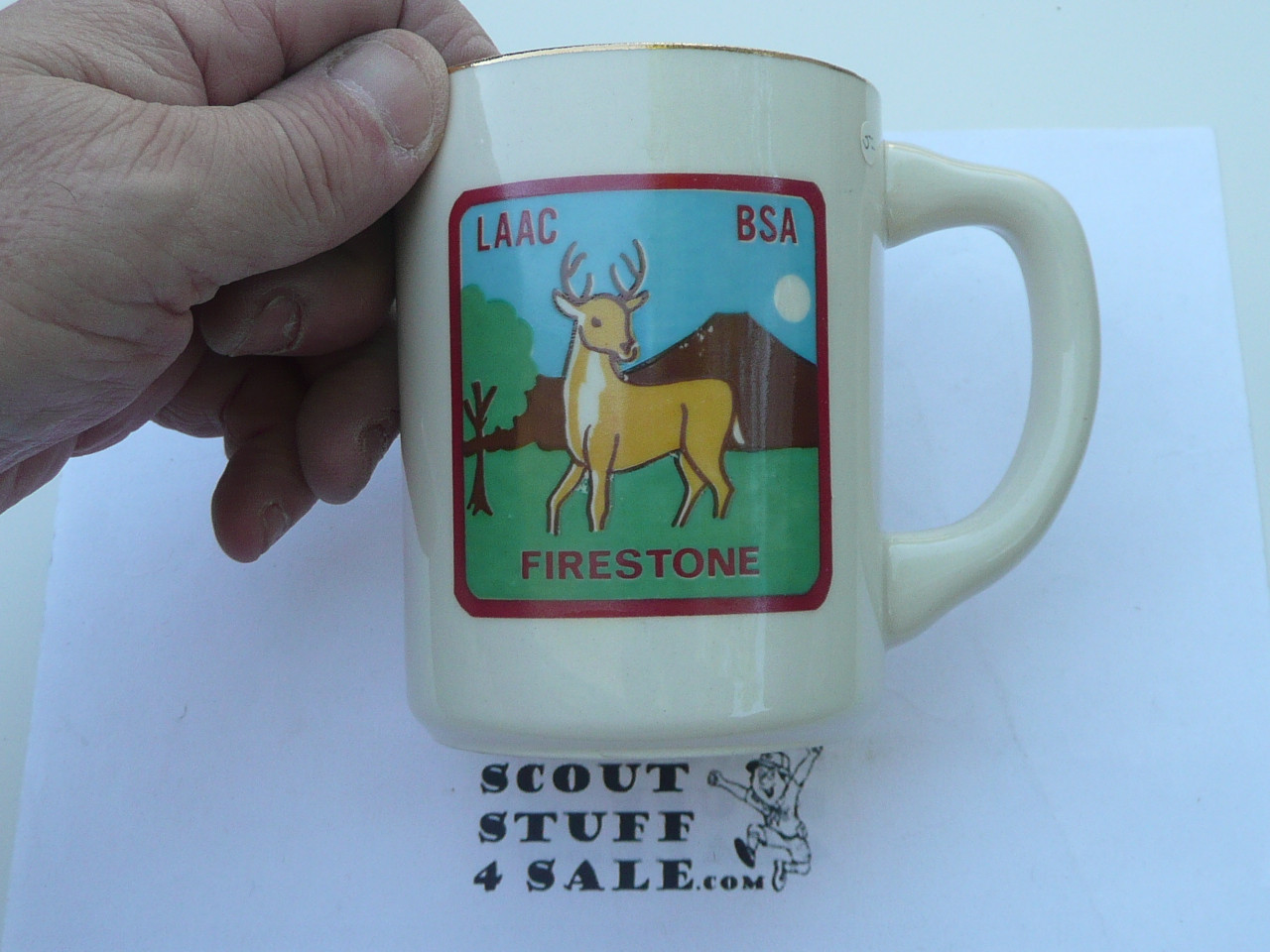 Firestone Scout Reservation Mug, Los Angeles Area Council