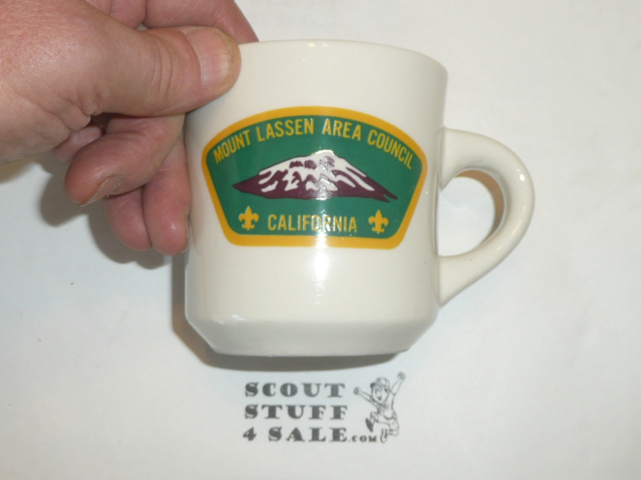 Mount Lassen Area Council Mug, CSP