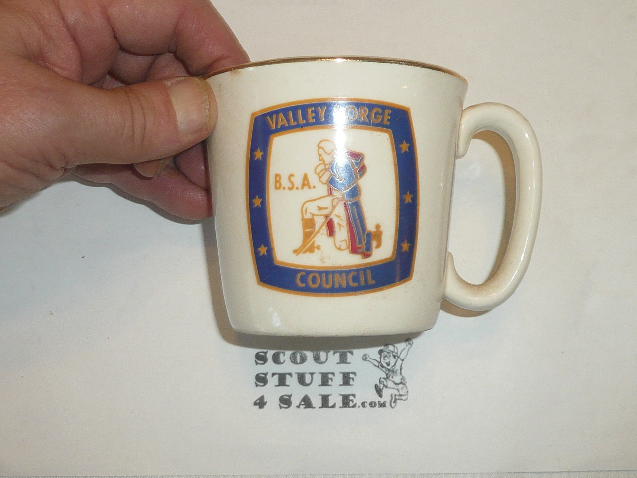 Valley Forge Council Mug