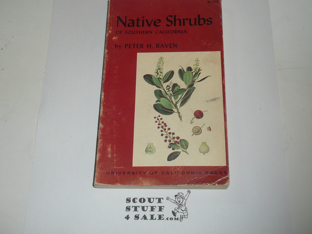Native Shrubs of Southern California, by Peter H. Raven, 1966