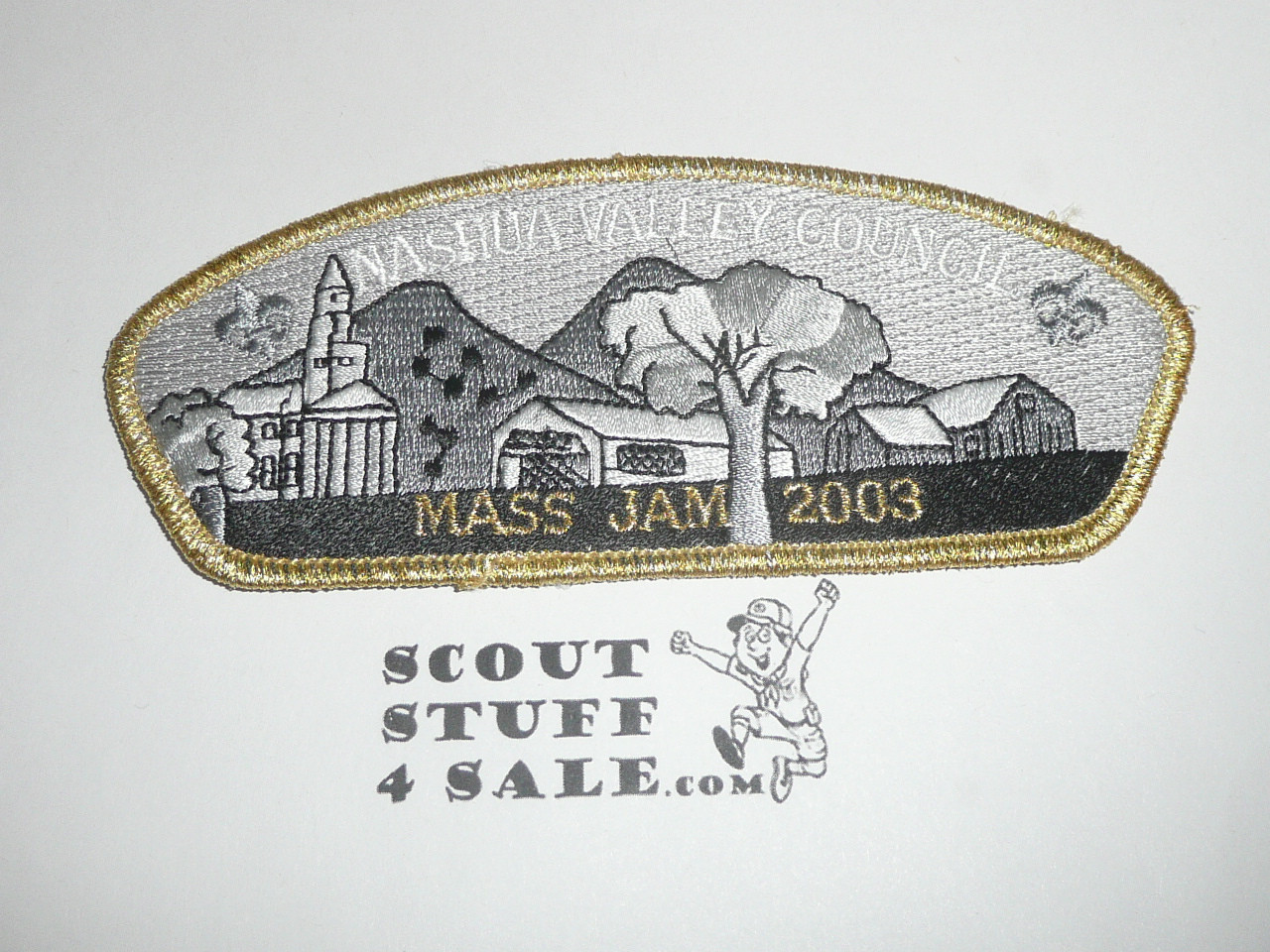Nashua Valley Council sa19 CSP - Scout