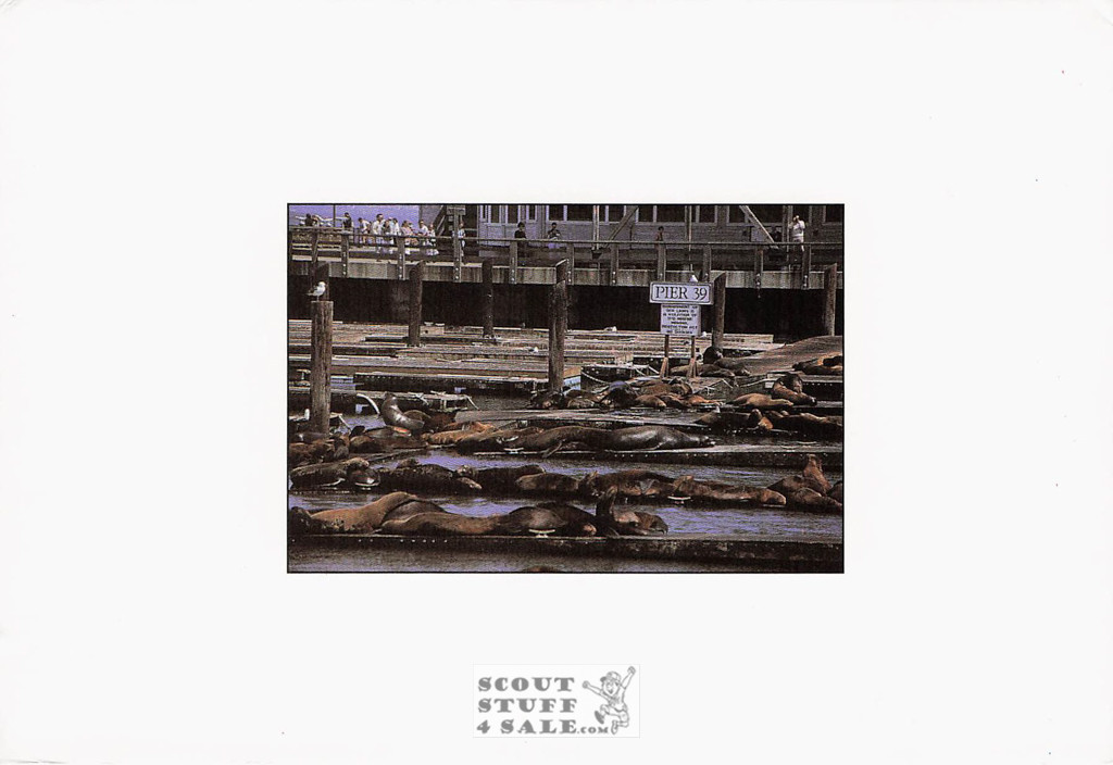 Phil Coblentz Photo Post Card of San Francisco  By Classico SF #047-105