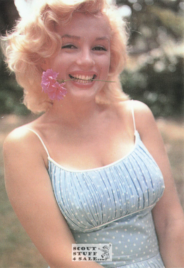 Marilyn Monroe Sam Shaw Photo Postcard by Classico San Francisco #105-222