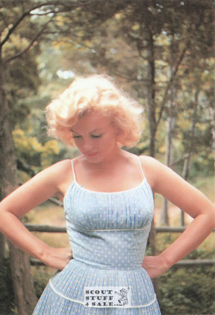Marilyn Monroe Sam Shaw Photo Postcard by Classico San Francisco #105-225